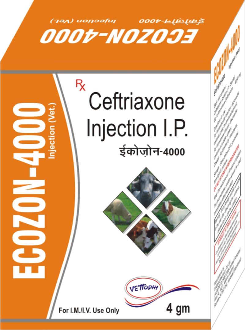 NutriGrow - Growth Enhancement Supplement